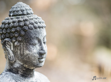 Malani Bulathsinhala – Pipena Malakata